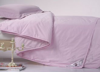 ������ĸ��