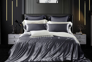 �ذ���z�׼� -��ɫ