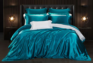 �ذ���z�׼� -��ȸ�{(l��n)